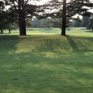 Meet your Posher, Brendan